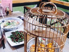 鸟笼里的鸡-花溪雨·森林餐厅(石基店)