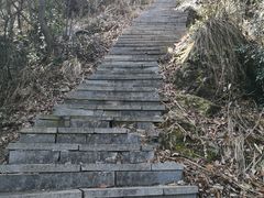 -午潮山国家森林公园