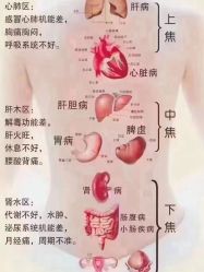 -天姿美容·美体科技SPA·艾姿美店