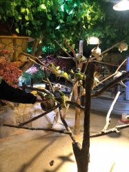 -酷嗒动物文化乐园(cutezoo西溪乐天城店)