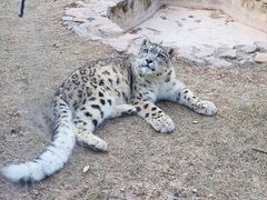 -青藏高原野生动物园