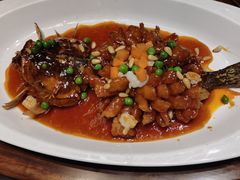 -老绍兴养和饭店(向阳不夜城店)