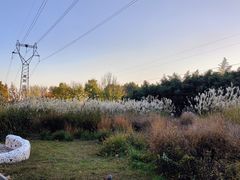 -石家庄市植物园