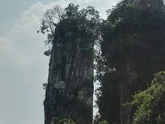 -三峡人家风景区