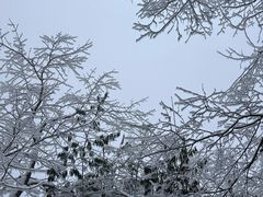 -九峰山