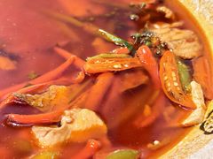 -陈麻婆豆腐(旗舰店)