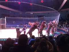 -西安秦岭野生动物园