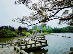 -江心屿景区