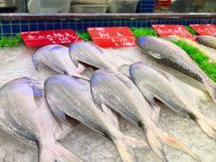 -骏莱海鲜鱼港(五角场店)