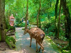 -昆明青龙峡风景区