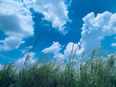 -星巴克(广州东圃天银店)