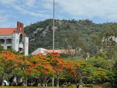 -厦门大学(思明校区)