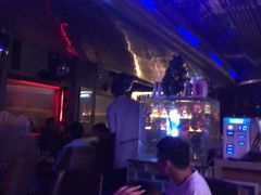 -Darling Queen·Mini·Live·House