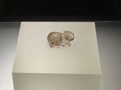 -临沂市博物馆
