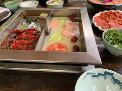 -二荆条·蜀鲜汇城市森林火锅