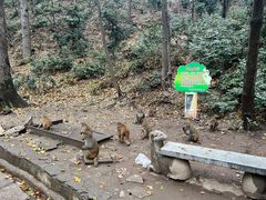 -黔灵山公园