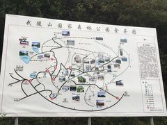 -武陵山森林公园