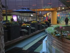 -bluefrog蓝蛙(水游城店)