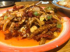 -柴窝堡22号辣子鸡·传承新疆菜