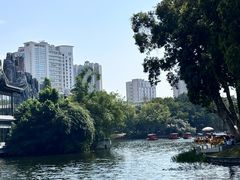 -荔湾湖公园