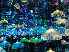 -天津梵高星空艺术馆(天河城旗舰店)