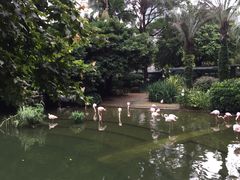 -九龙公园