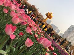 -龙环葡韵住宅式博物馆