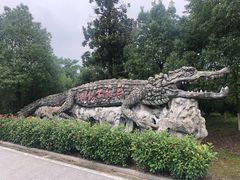 -中国扬子鳄村