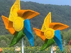 -苏州太湖西山岛开心农场