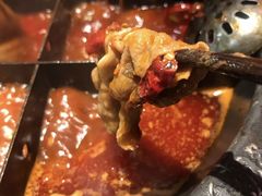 -井格重庆火锅(西直门凯德Mall店)