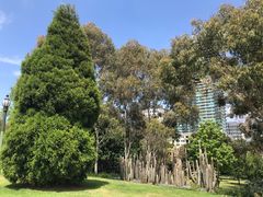 -墨尔本皇家植物园