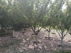 景点-西安世博园