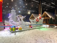 -宁波冰雪大世界(北仑区)