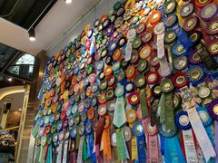 -more than meow吴止猫主题餐厅(承德 中船汇店)