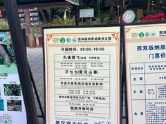 -西双版纳原始森林公园
