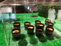 -梅园国际大酒店·自助餐厅(光明港店)