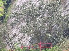 -武夷山风景名胜区-虎啸岩