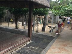 -三亚亚龙湾天域度假酒店