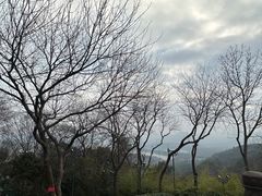 -杭州黄龙洞
