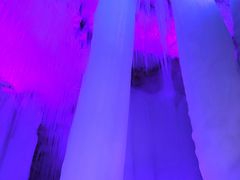 -芦芽山旅游度假区