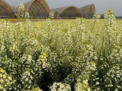 -中国天府农业博览园