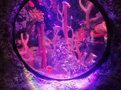 -沈阳海洋探索中心