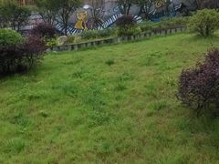 -四川省成都市彭州市白鹿镇