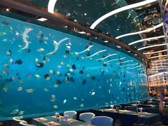 -瑞德姆美人鱼海底演艺主题餐厅(亚龙湾店)
