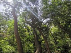 -攀枝花公园