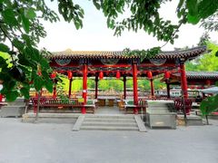 -尚庄度假村·庭台树下·户外烧烤·团建CS·轰趴营地(上庄水库店)