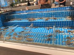 -星伦多自助料理·涮烤一体(杭州来福士店)