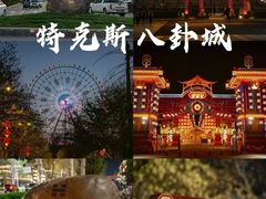 -特克斯八卦城