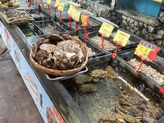 -花溪雨·森林餐厅(石基店)