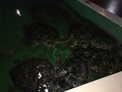 -常州海昌海洋探索馆